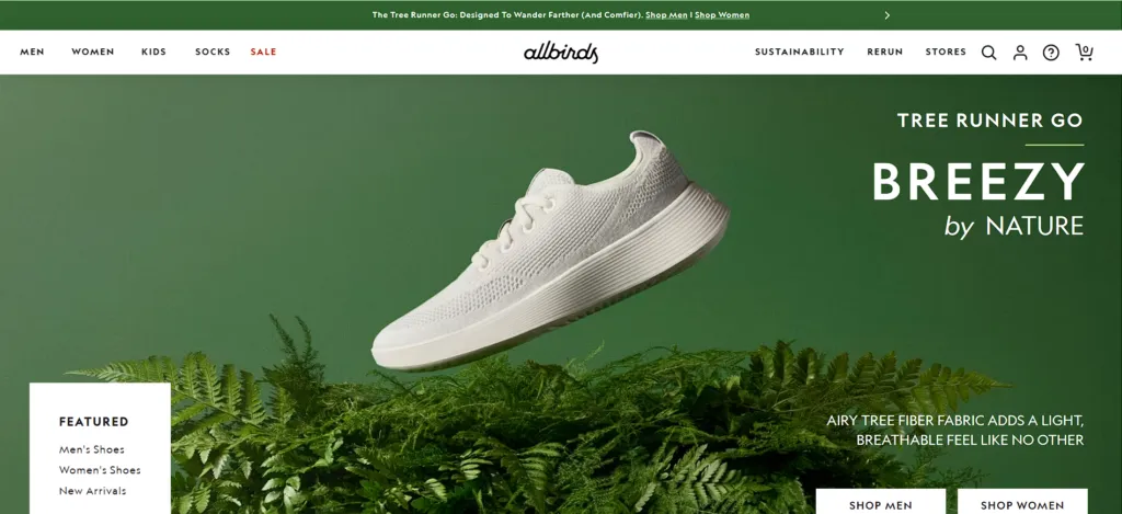 Top 20 Most Successful Shopify Dropshipping Stores：Allbirds